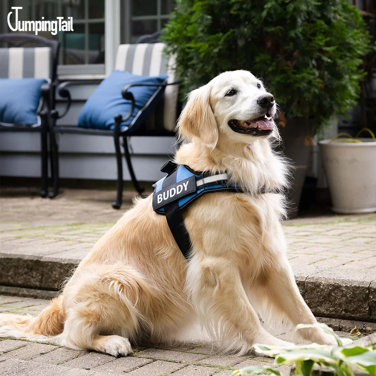 Custom Anti-Choke Dog Harness+Get 2 free gifts