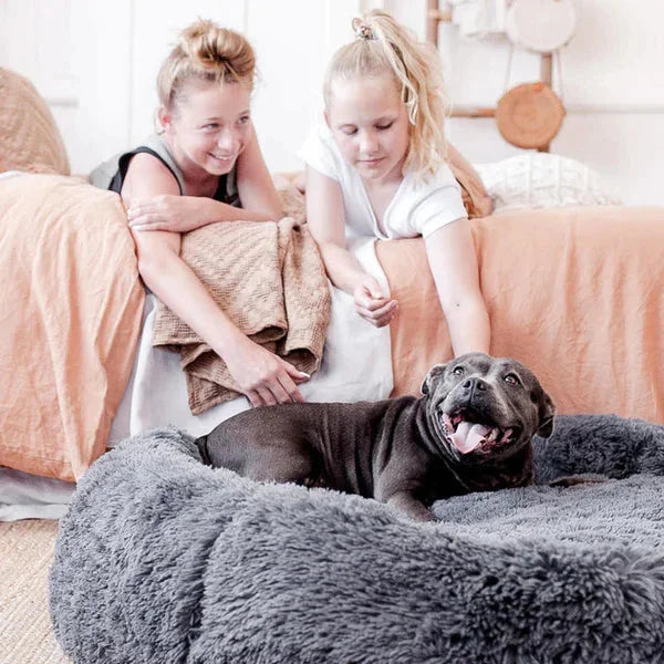 Jumpingtail™ Calming Dog Bed