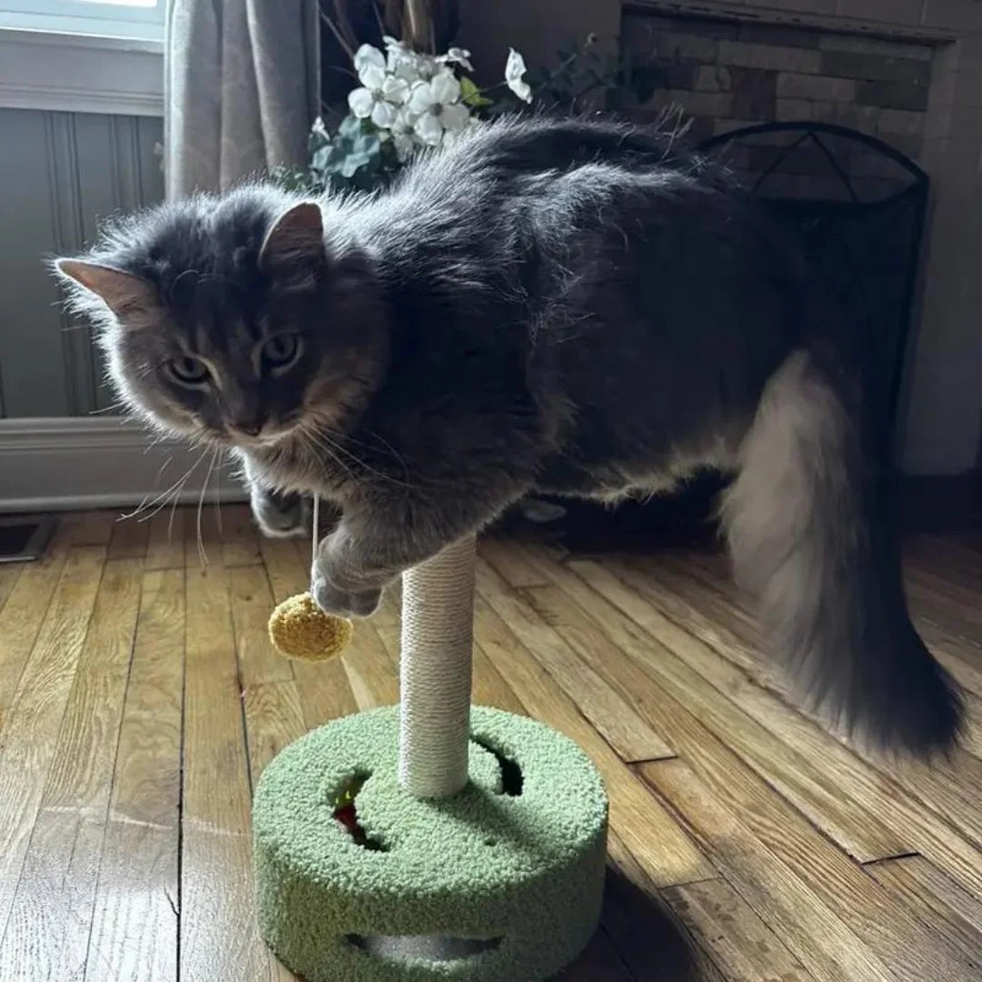 Sunflower Cat Tree & Scratching Post-10