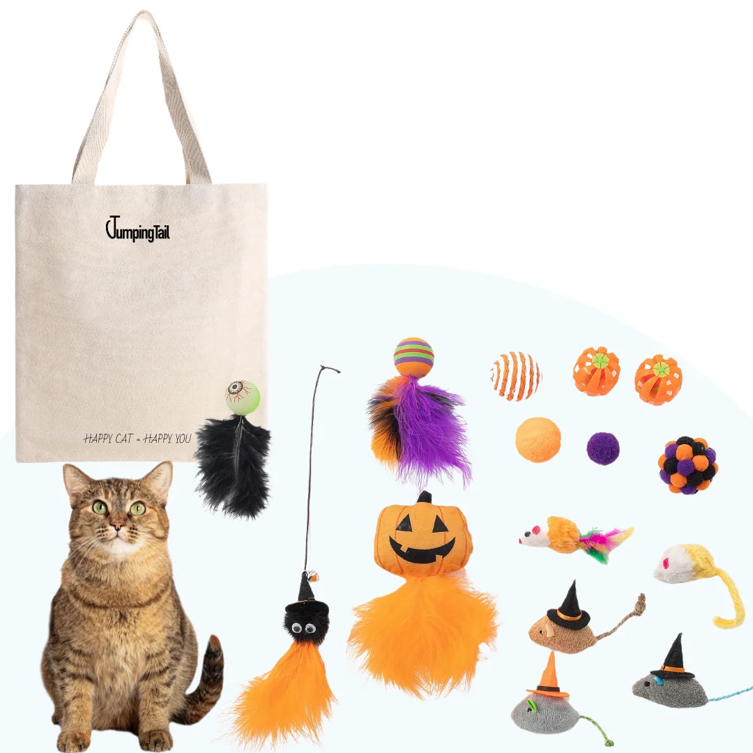 Halloween Cat Toy Bundle