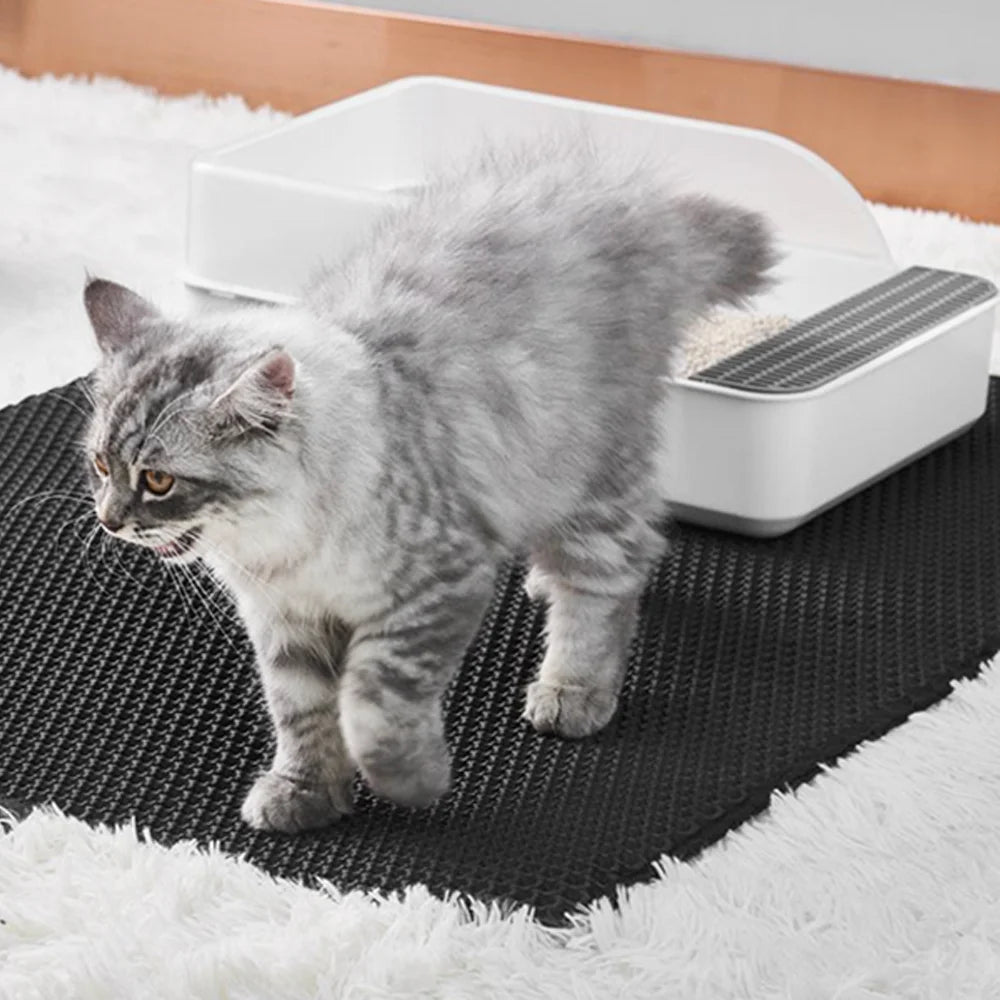 Upgrading Your Litter Mat