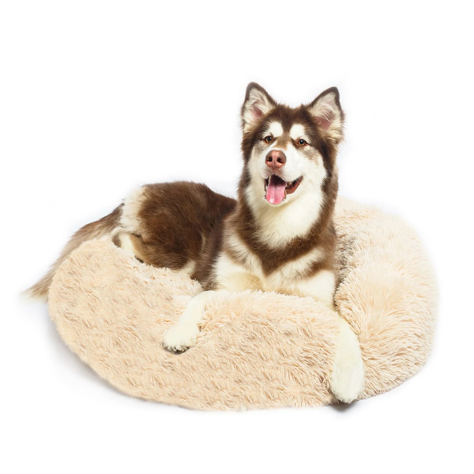 Jumpingtail™ Calming Dog Bed