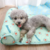 Pets Cooling Bed-11