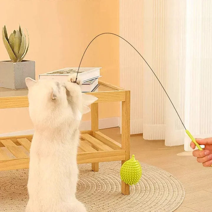 Interactive Bird Simulation Cat Toy With Corner Groomer