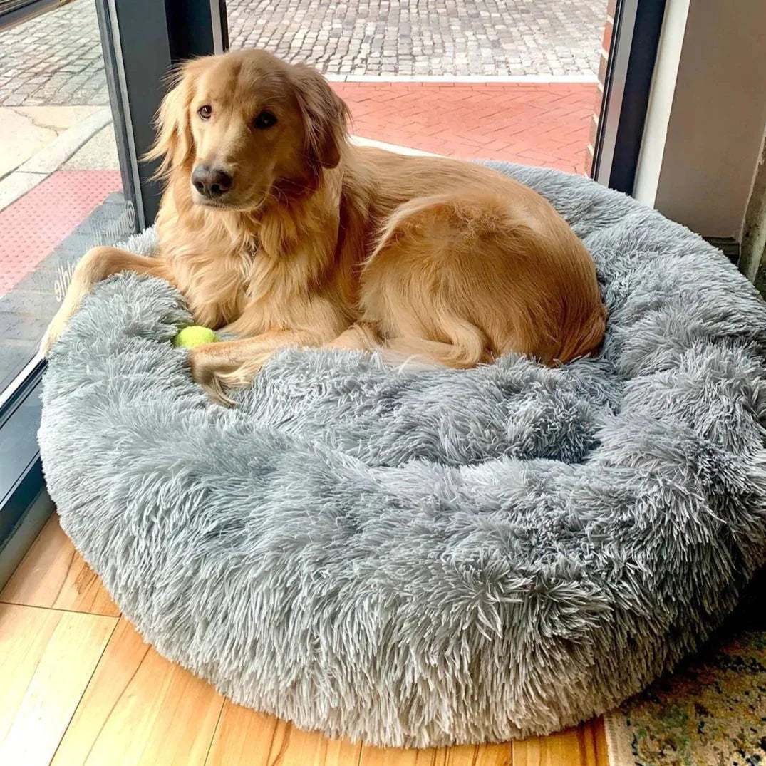 Jumpingtail™ Calming Dog Bed