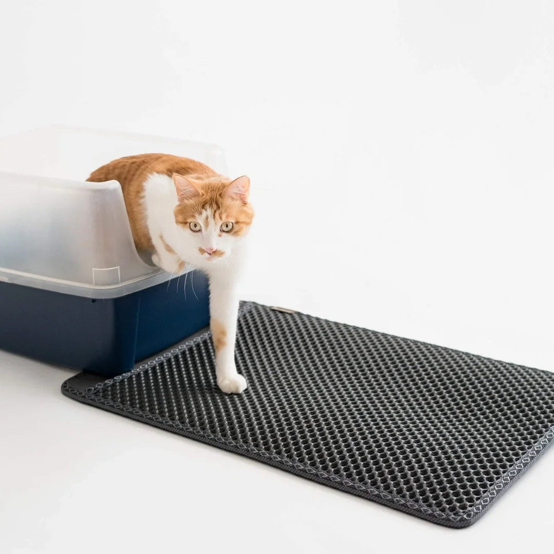 Must-Have Litter Mats for Cat Owners