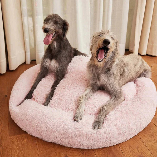 Jumpingtail™ Calming Dog Bed