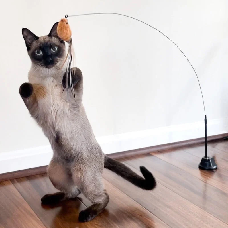 Interactive Bird Simulation Cat Toy Set