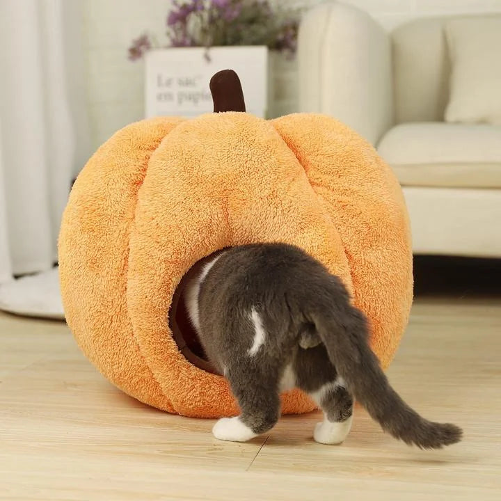 Belonging to the cat Halloween gift-Fuzz Cat Bed