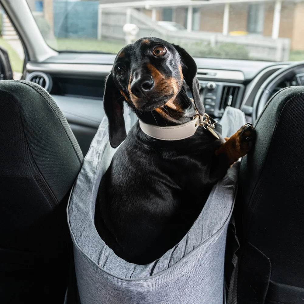 Jumpingtail™ Pet Carpool Seat + Free Toy