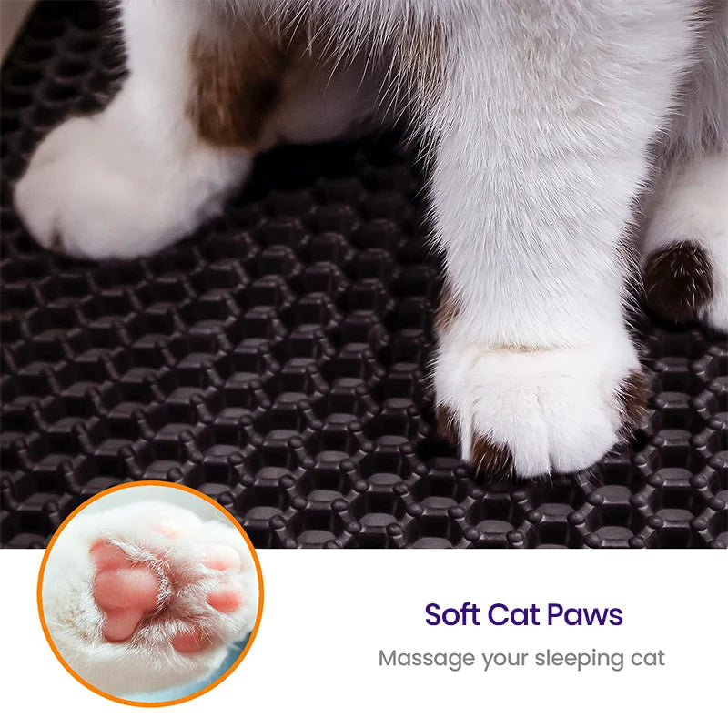 Soft Cat Paws Massage your sleeping cat