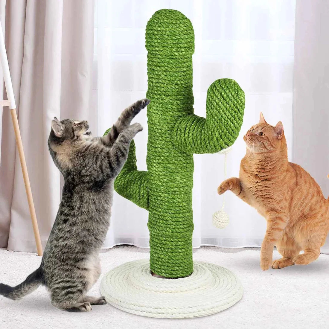 Hermes Cat Scratching Post