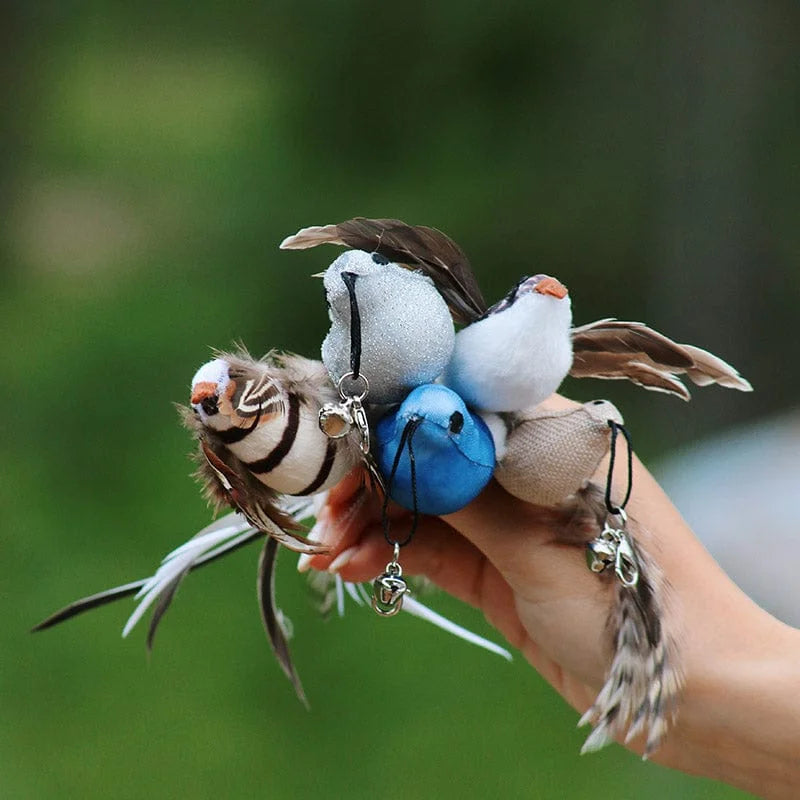 Interactive Bird Simulation Cat Toy Set