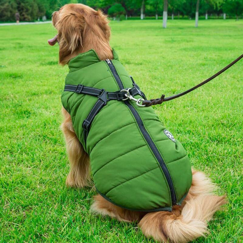 Pet waterproof warm jacket