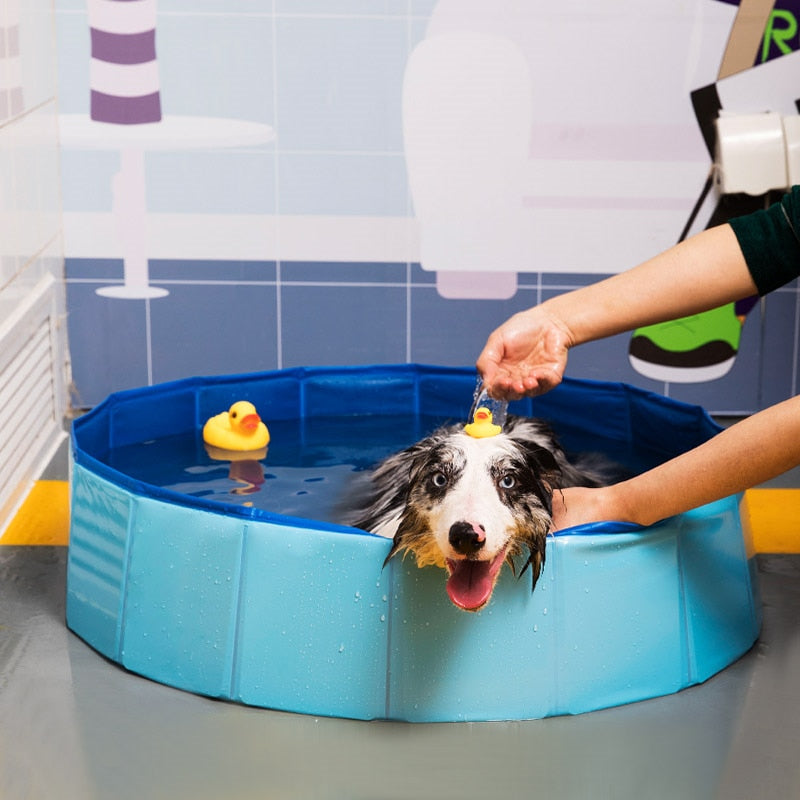 Foldable Dog Dath Pool