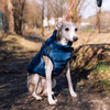 Pet waterproof warm jacket