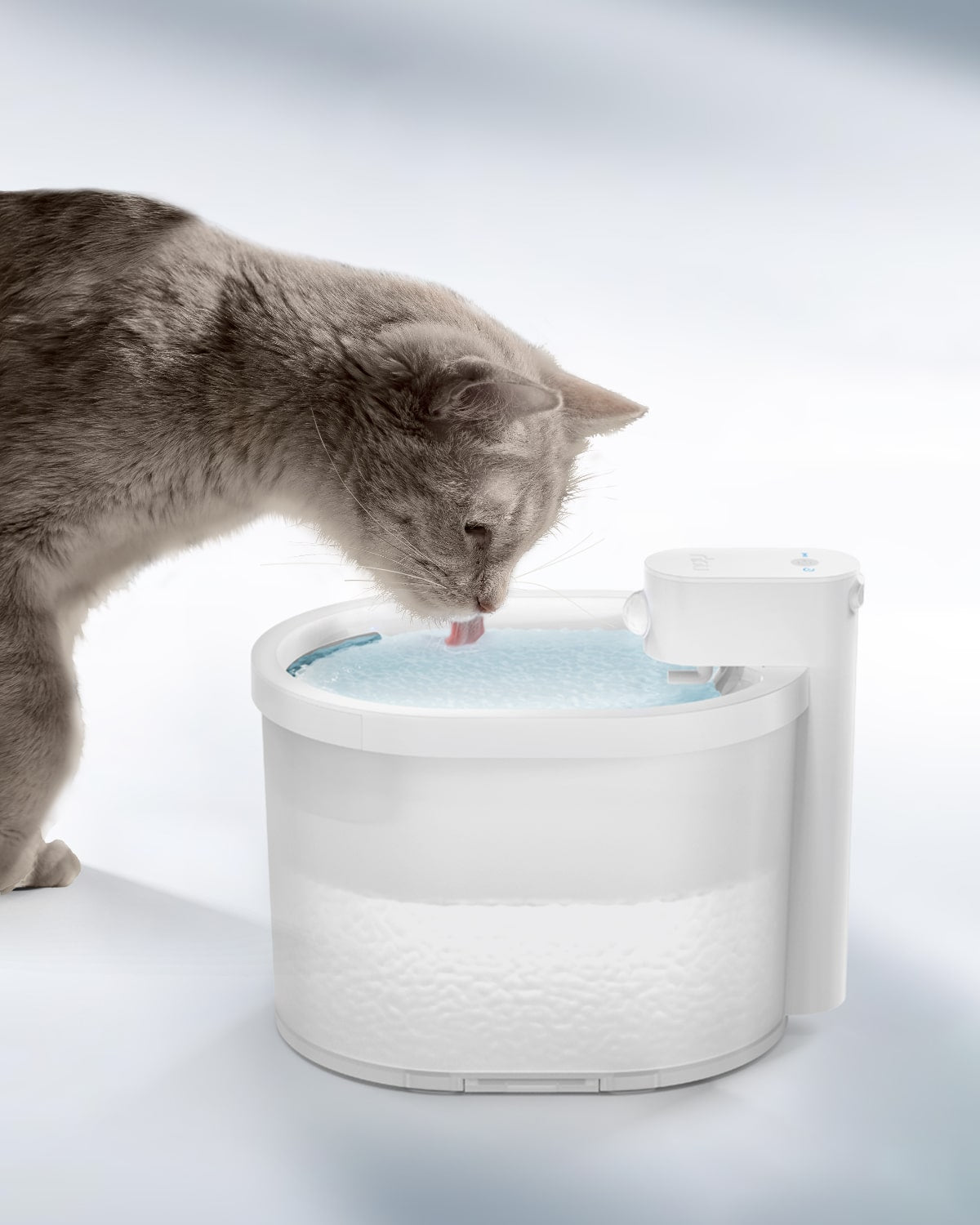 Wireless Cat Water Fountain